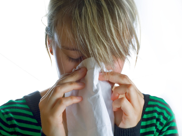 hayfever allergy sneeze